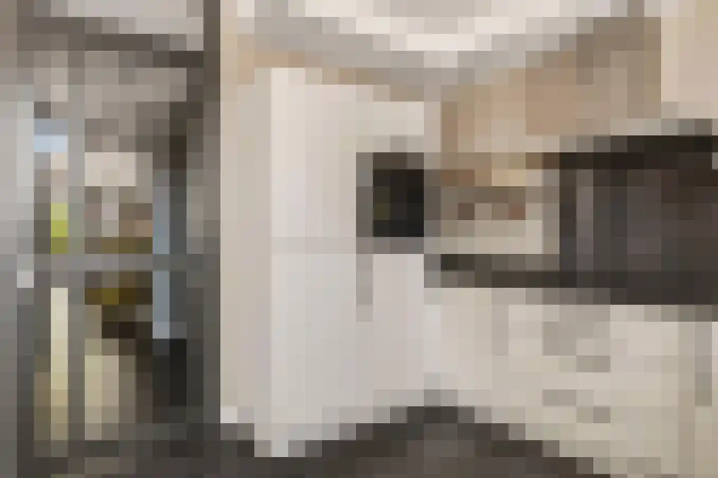 Balgzand 1 Ede thumbnail 15