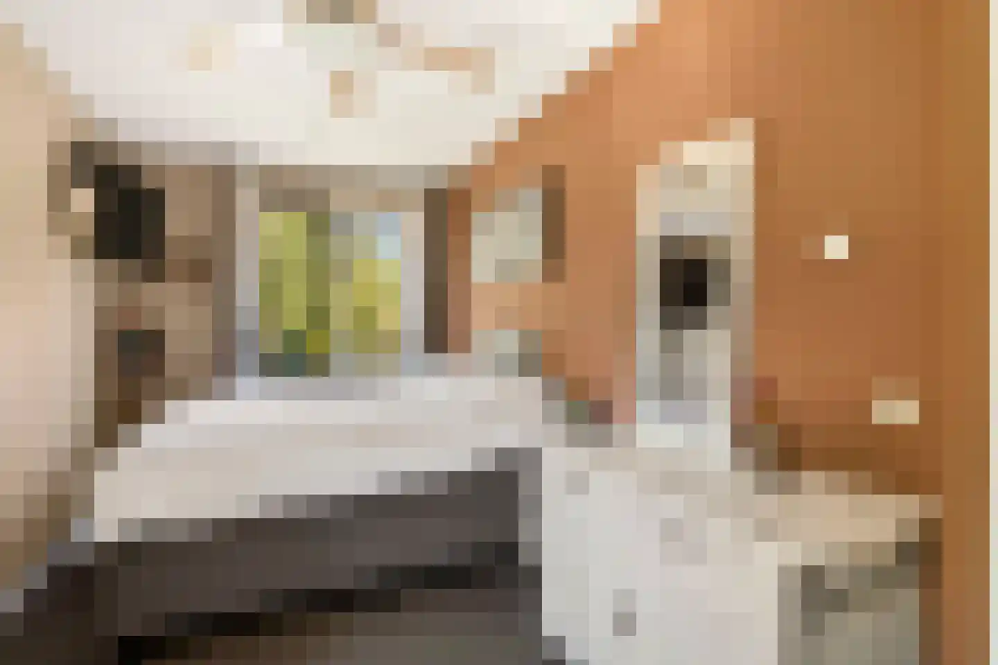 Balgzand 1 Ede thumbnail 20