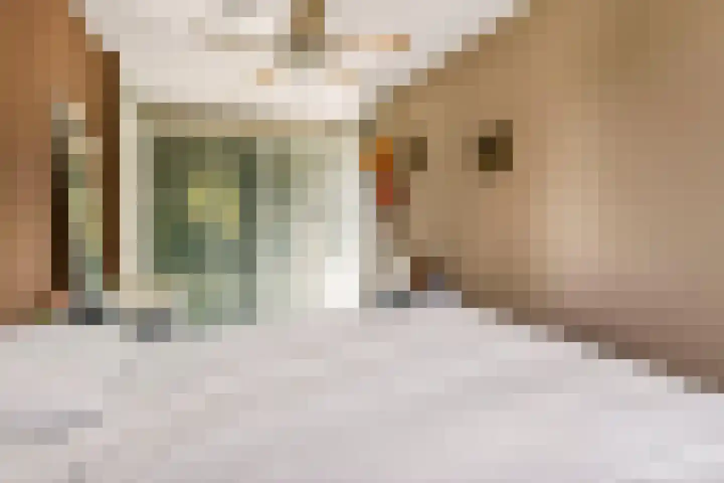 Balgzand 1 Ede thumbnail 21