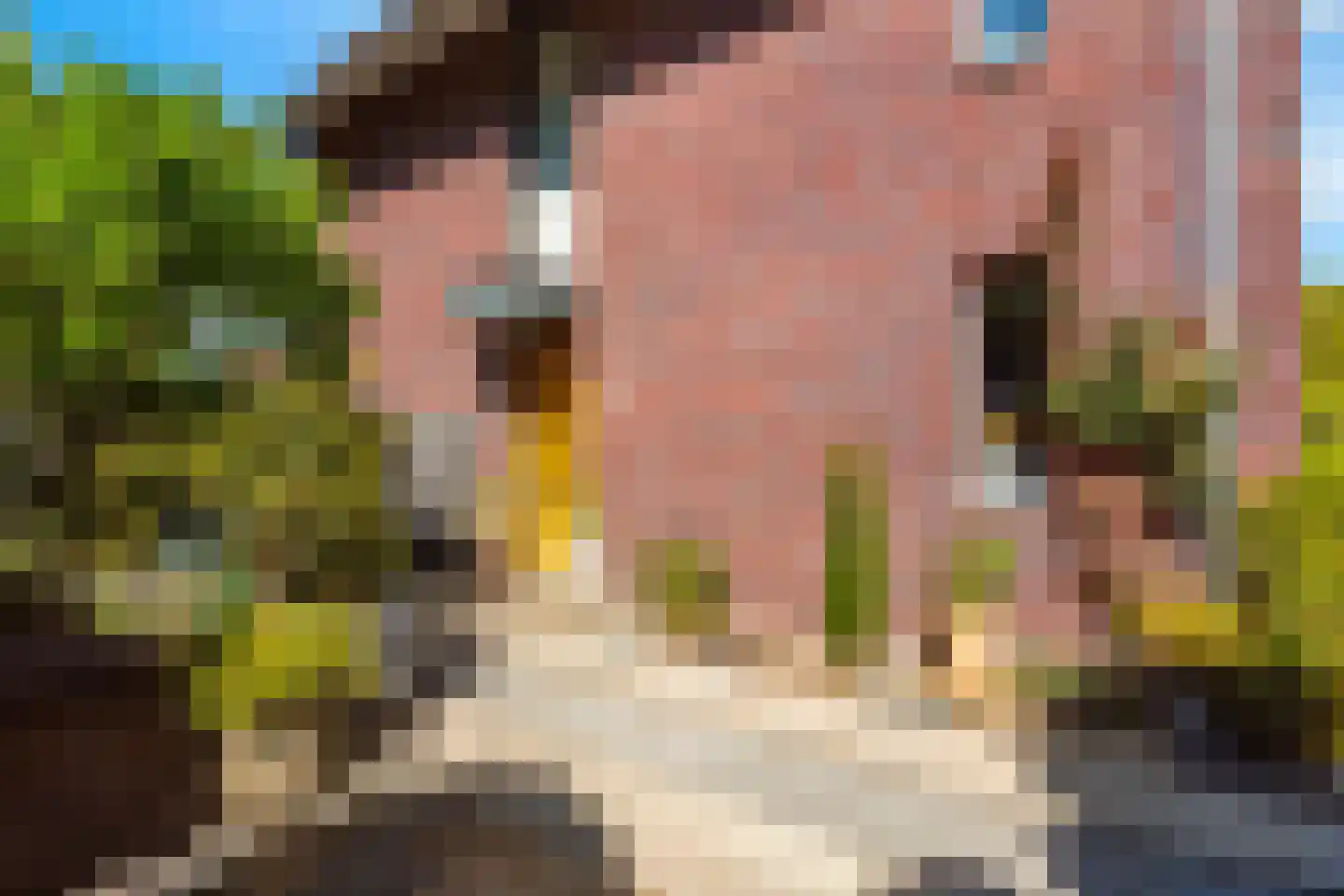 Balgzand 1 Ede thumbnail 34