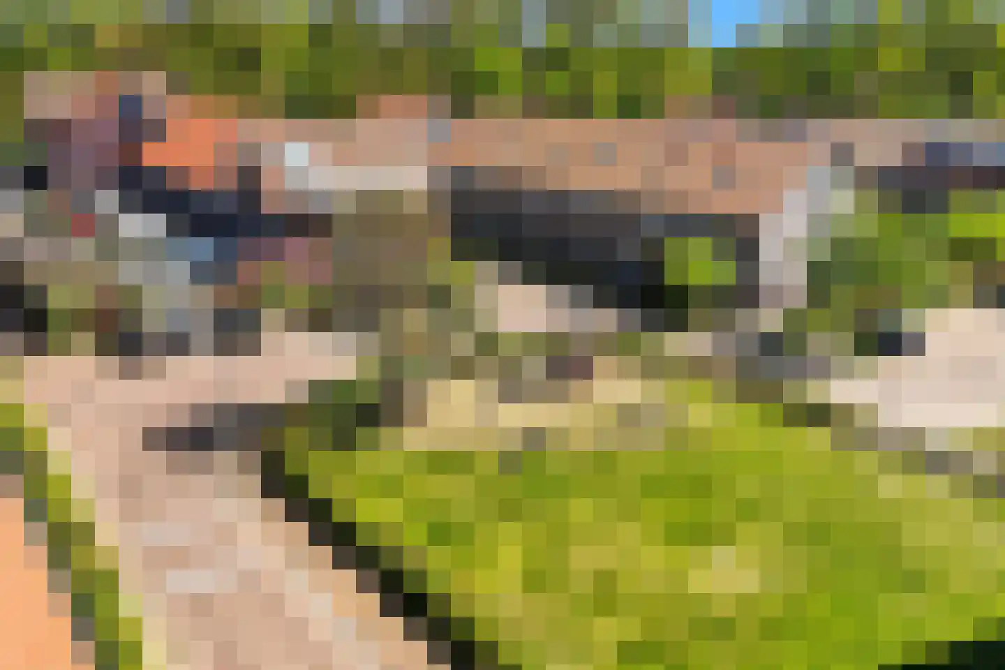 Balgzand 1 Ede thumbnail 37
