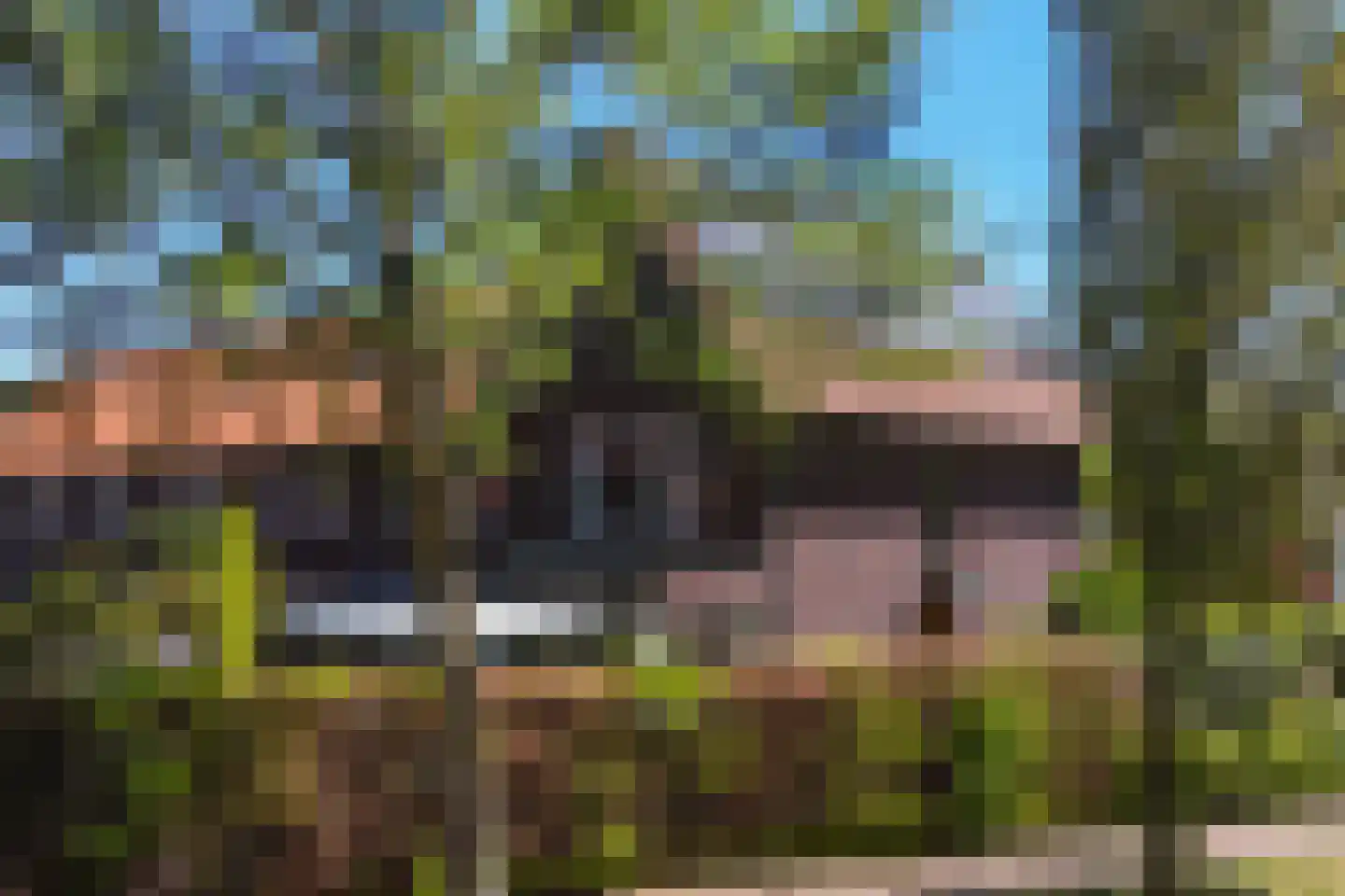 Balgzand 1 Ede thumbnail 6