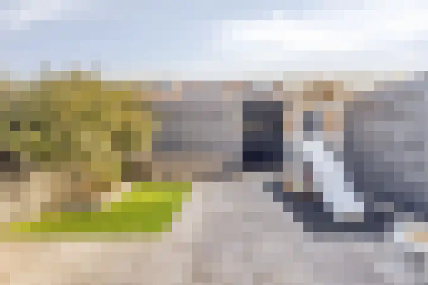 Bali 12 Purmerend thumbnail 26