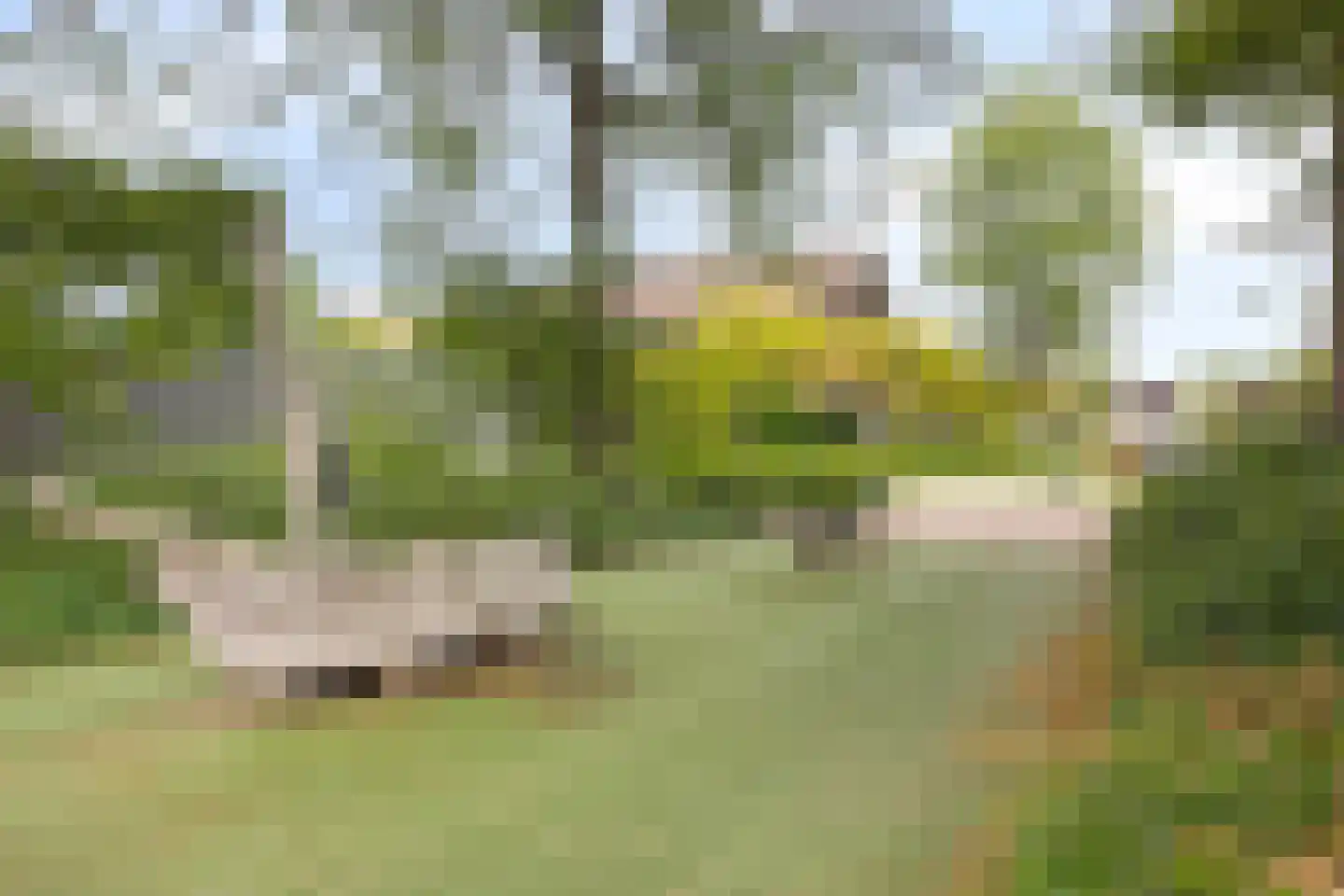 Bali 22 Purmerend thumbnail 32