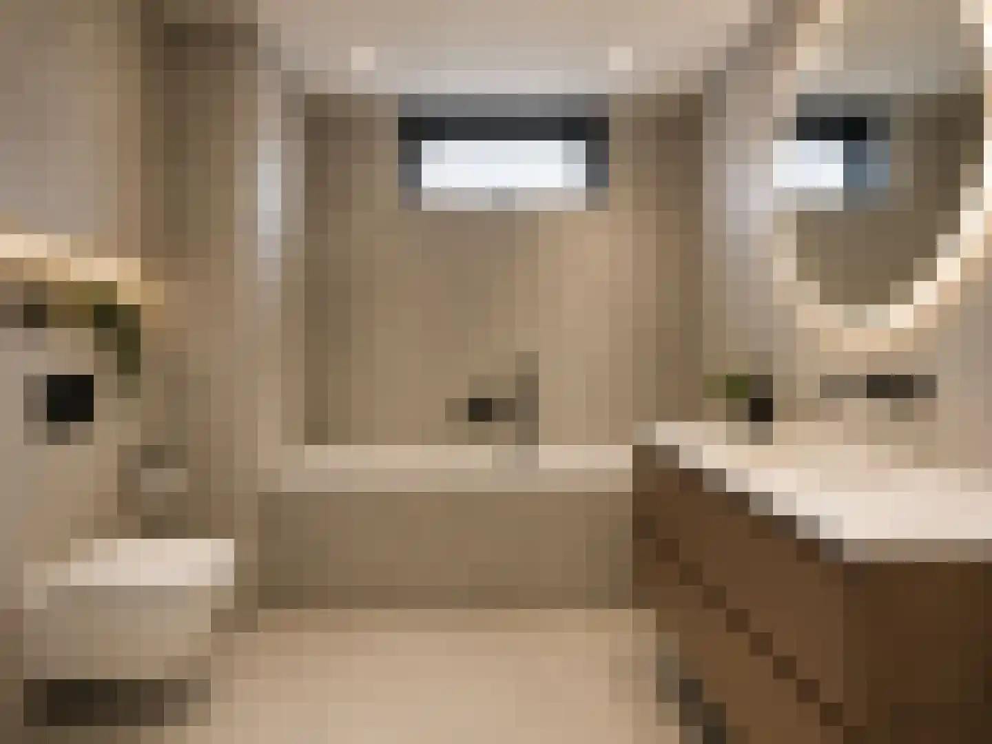 Bali 22 Purmerend thumbnail 8