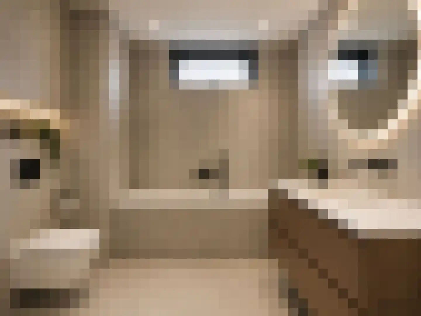 Bali 22 Purmerend thumbnail 9