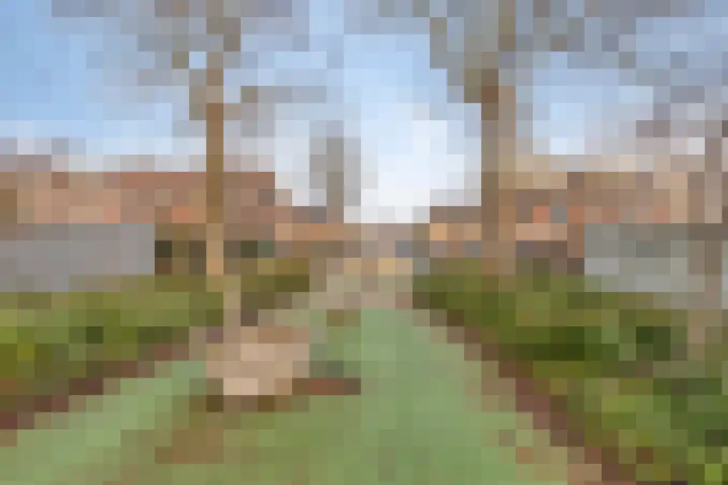 Bali 35 Purmerend thumbnail 34
