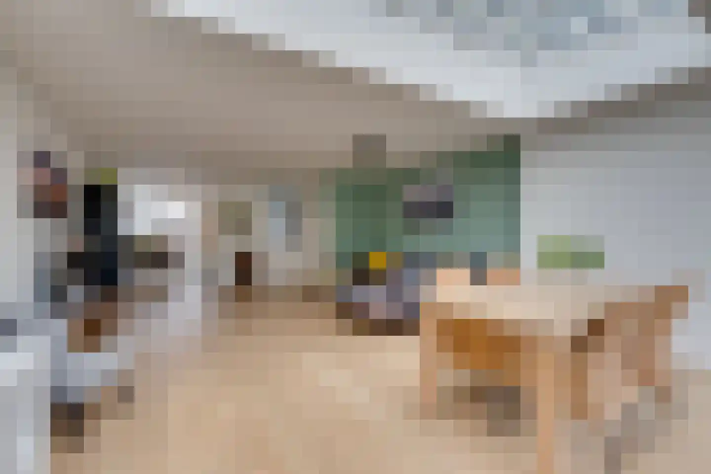 Bali 36 Purmerend thumbnail 19