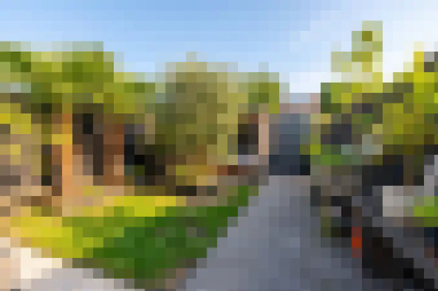 Bali 36 Purmerend thumbnail 28