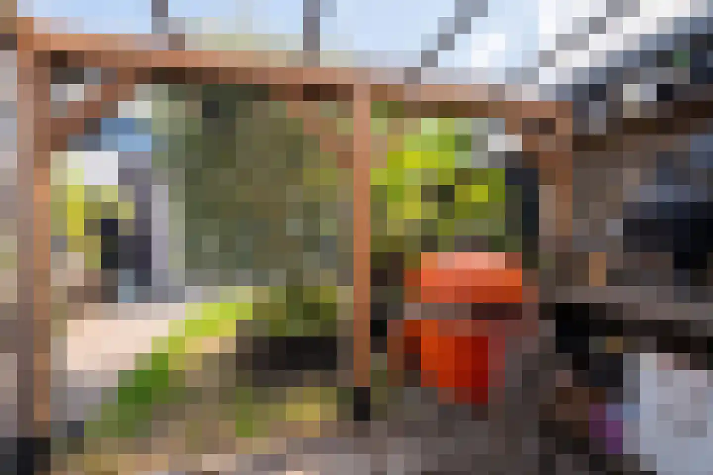 Bali 36 Purmerend thumbnail 31