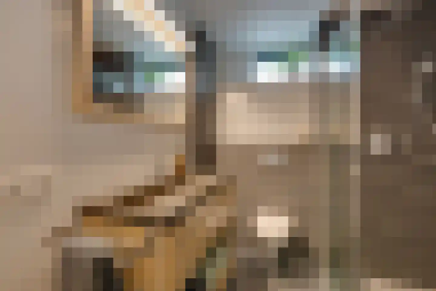 Bali 36 Purmerend thumbnail 44