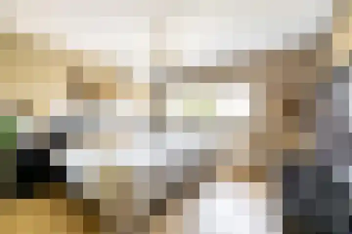 Bali 37 Purmerend thumbnail 26