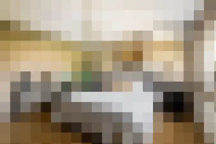 Bali 37 Purmerend thumbnail 27