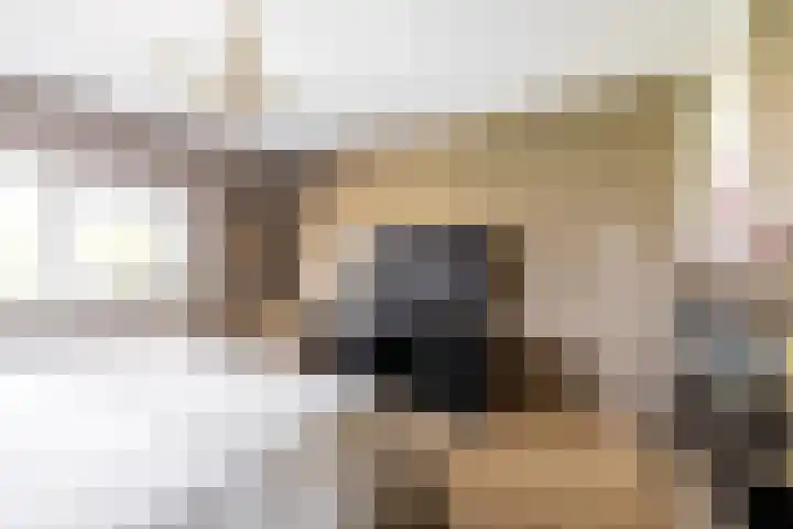 Bali 37 Purmerend thumbnail 28