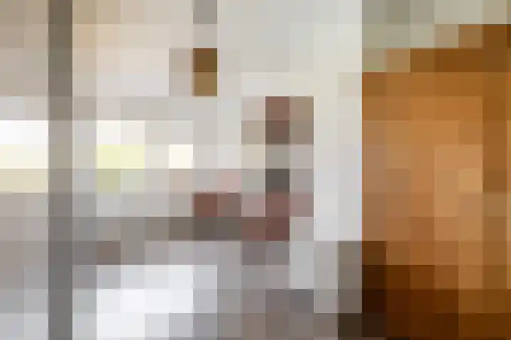 Bali 37 Purmerend thumbnail 29