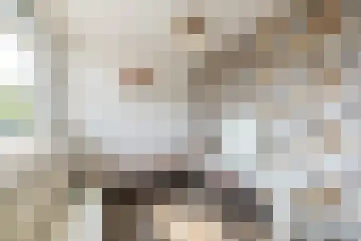 Bali 37 Purmerend thumbnail 32