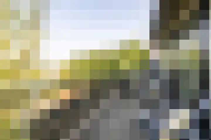 Bali 37 Purmerend thumbnail 42