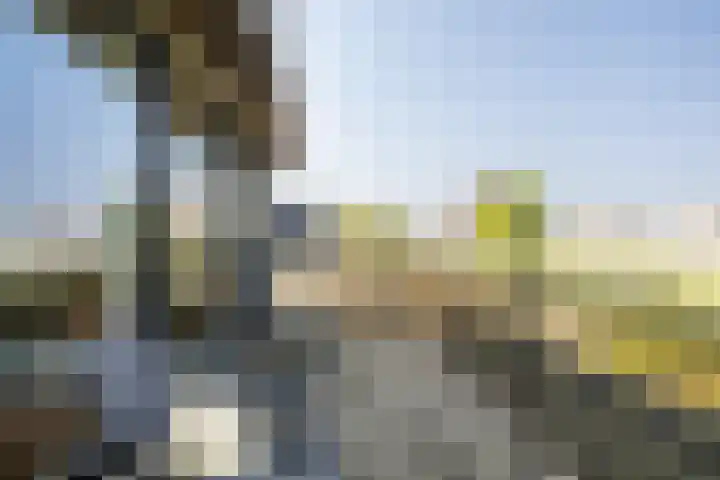 Bali 37 Purmerend thumbnail 43