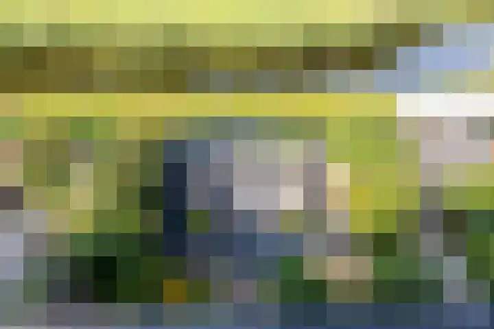 Bali 37 Purmerend thumbnail 44