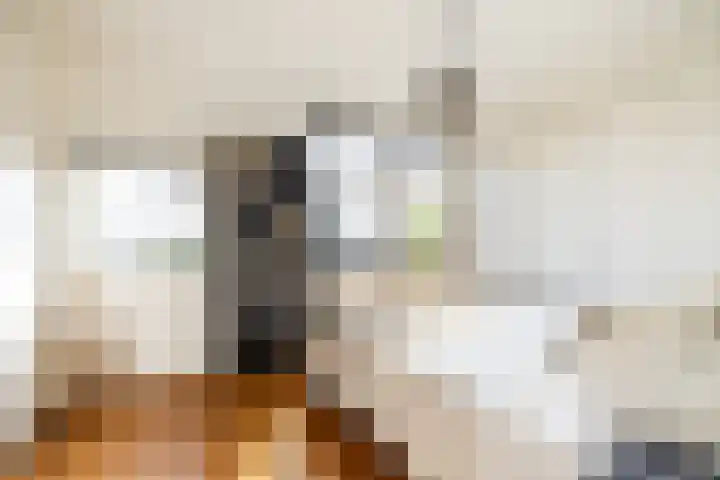 Bali 37 Purmerend thumbnail 47