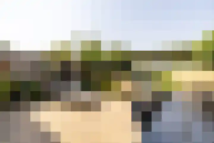 Bali 37 Purmerend thumbnail 48