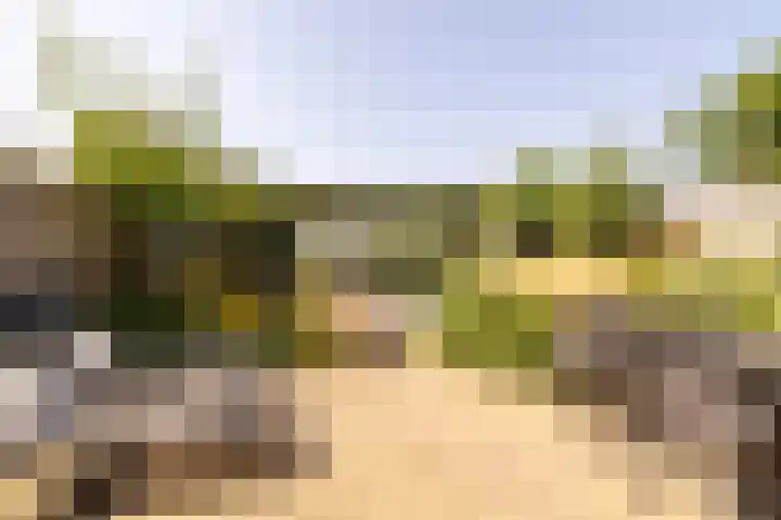 Bali 37 Purmerend thumbnail 49
