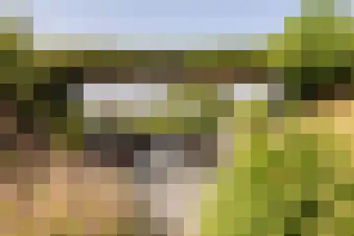 Bali 37 Purmerend thumbnail 51
