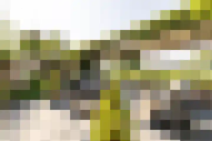 Bali 37 Purmerend thumbnail 52