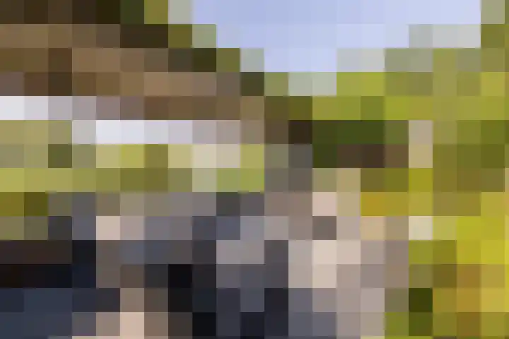 Bali 37 Purmerend thumbnail 53