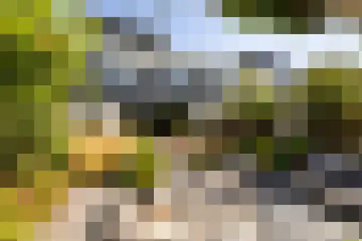 Bali 37 Purmerend thumbnail 55