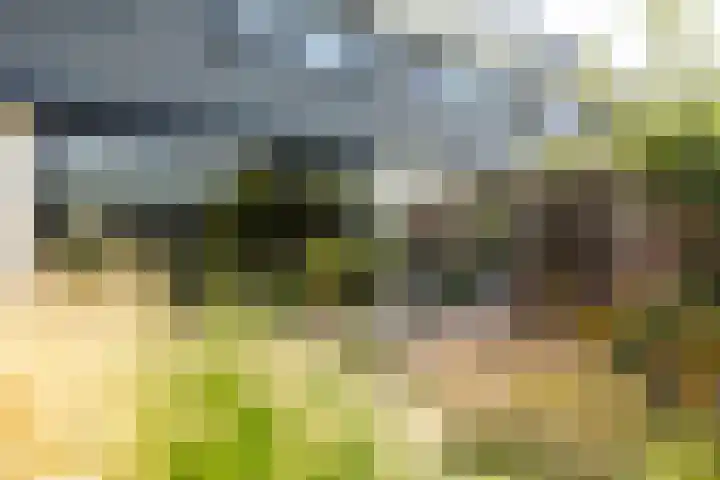 Bali 37 Purmerend thumbnail 58