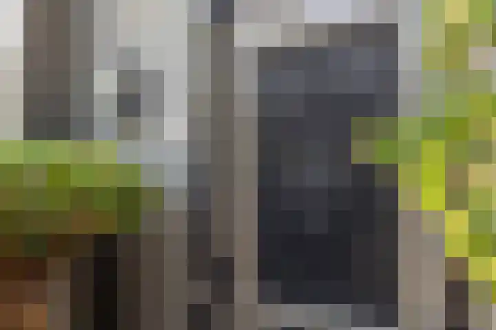 Bali 37 Purmerend thumbnail 8