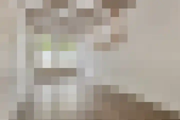 Balie 3 Zierikzee thumbnail 10