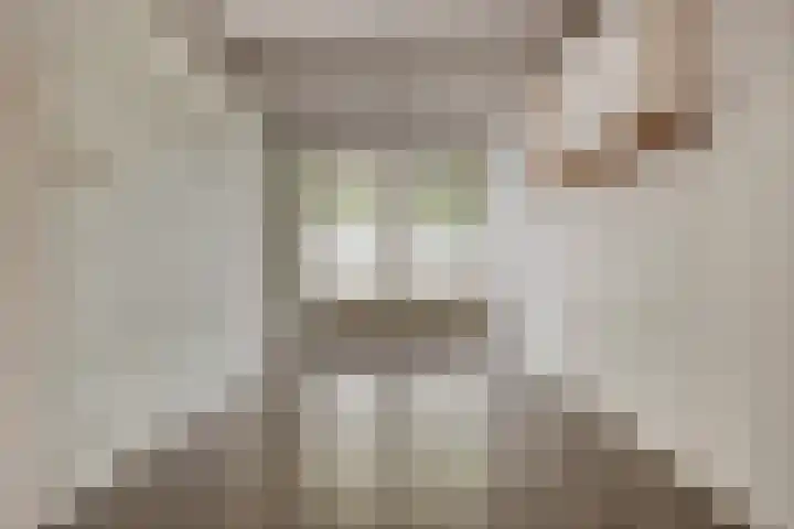 Balie 3 Zierikzee thumbnail 11