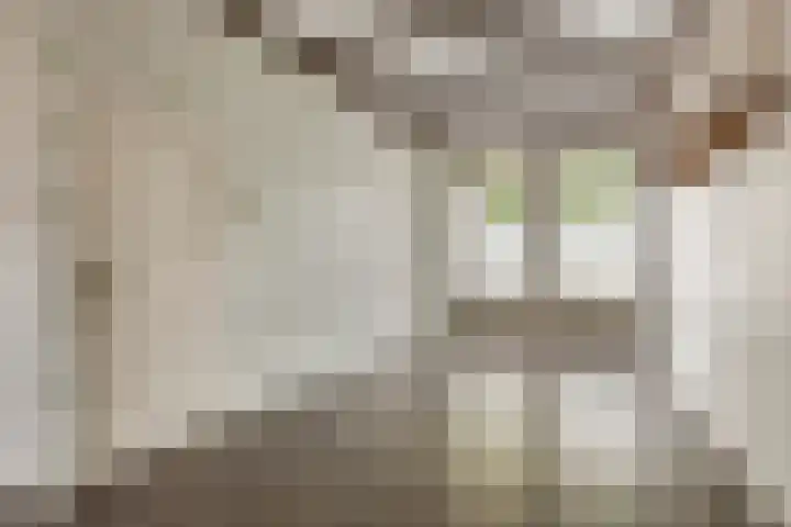 Balie 3 Zierikzee thumbnail 12