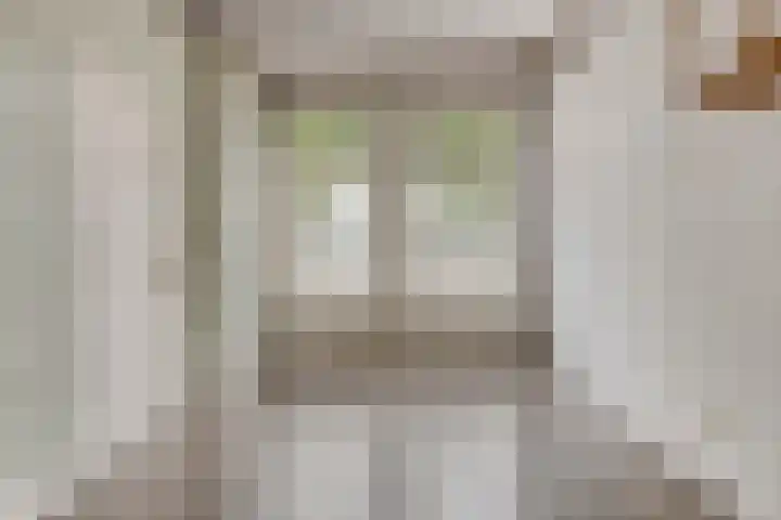 Balie 3 Zierikzee thumbnail 13