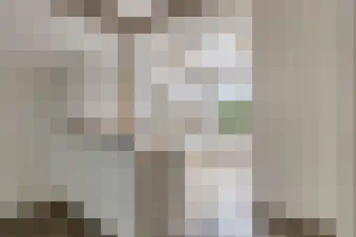 Balie 3 Zierikzee thumbnail 14