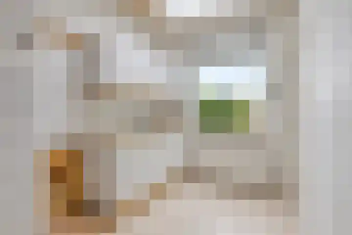 Balie 3 Zierikzee thumbnail 15