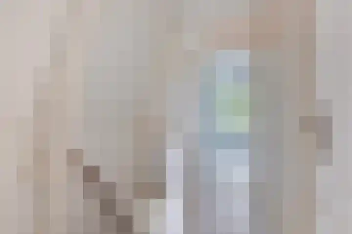 Balie 3 Zierikzee thumbnail 20