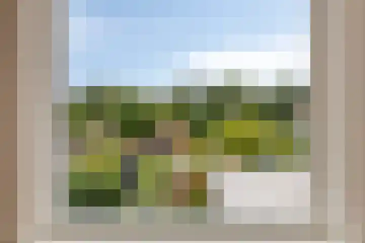 Balie 3 Zierikzee thumbnail 25