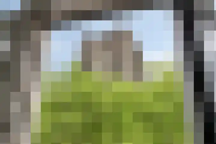 Balie 3 Zierikzee thumbnail 27