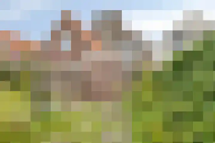 Balie 3 Zierikzee thumbnail 31