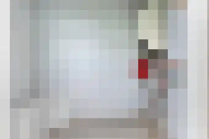 Balie 3 Zierikzee thumbnail 32