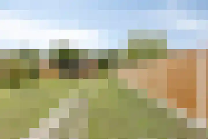 Balie 3 Zierikzee thumbnail 33