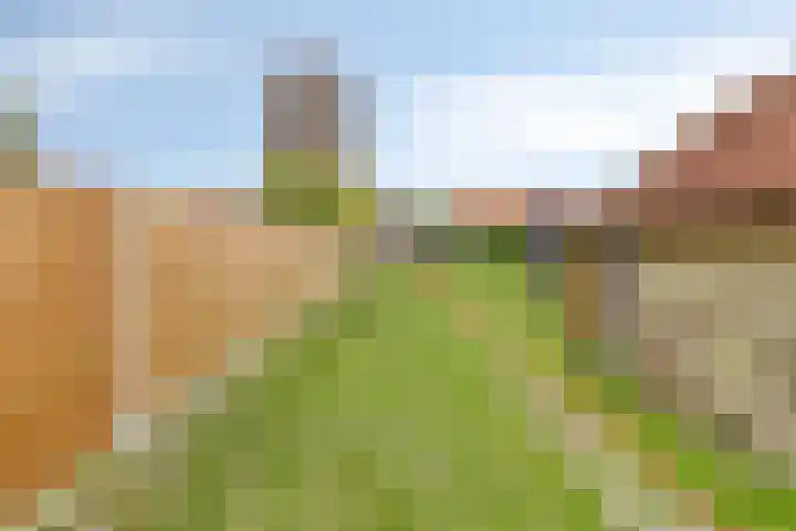 Balie 3 Zierikzee thumbnail 34