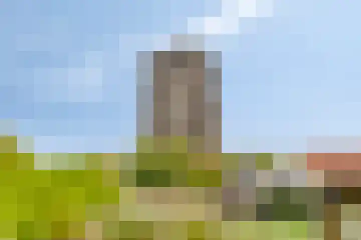 Balie 3 Zierikzee thumbnail 35