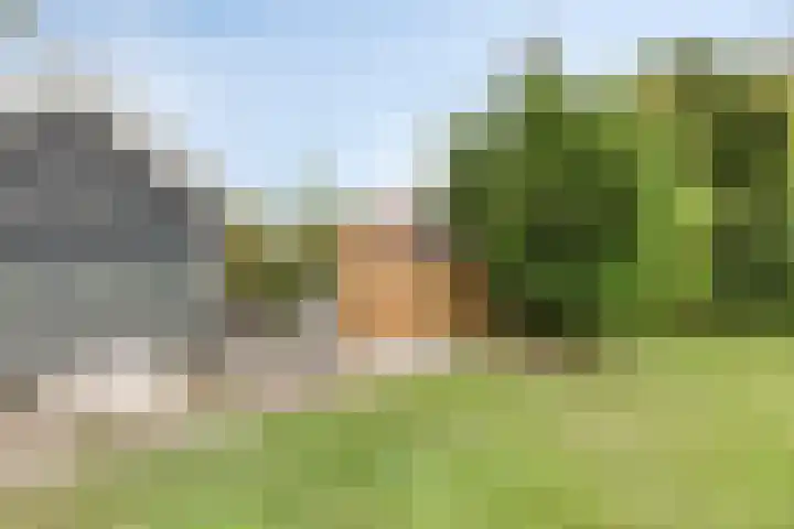 Balie 3 Zierikzee thumbnail 36