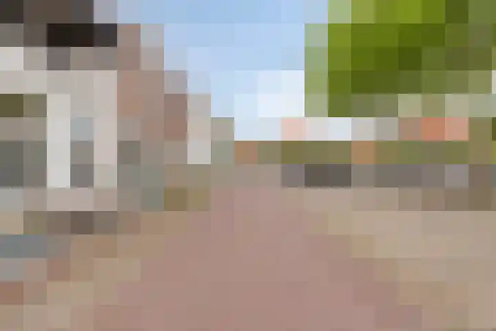 Balie 3 Zierikzee thumbnail 38