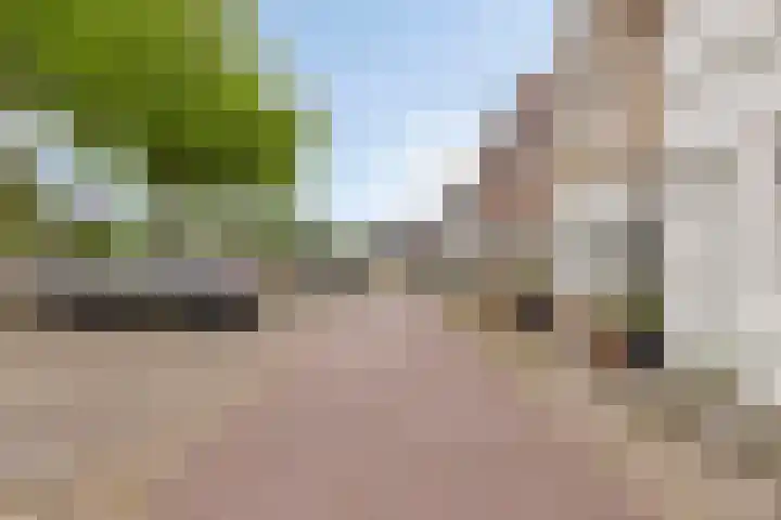 Balie 3 Zierikzee thumbnail 39