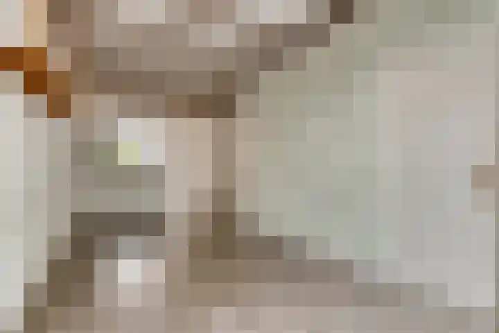 Balie 3 Zierikzee thumbnail 8